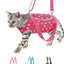 Pet Handbag Carrier