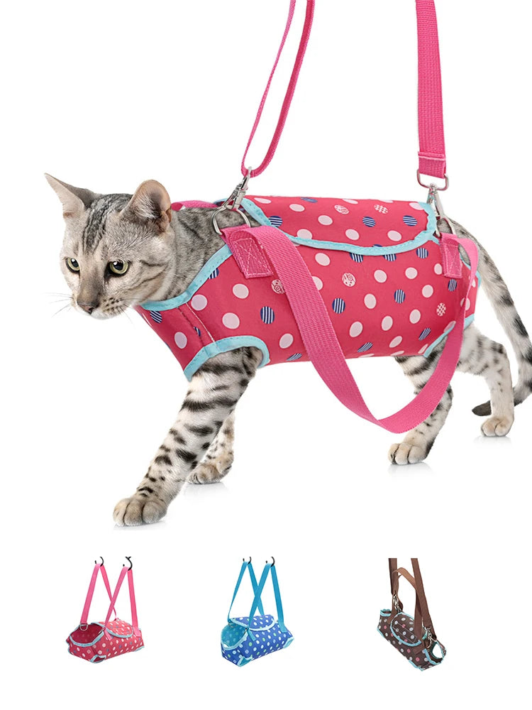 Pet Handbag Carrier