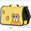 Character Pet Carrier Bag