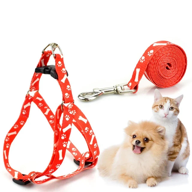 Daily Walk Set bundle — padded collar, bone printed harness and lead, and poop bags