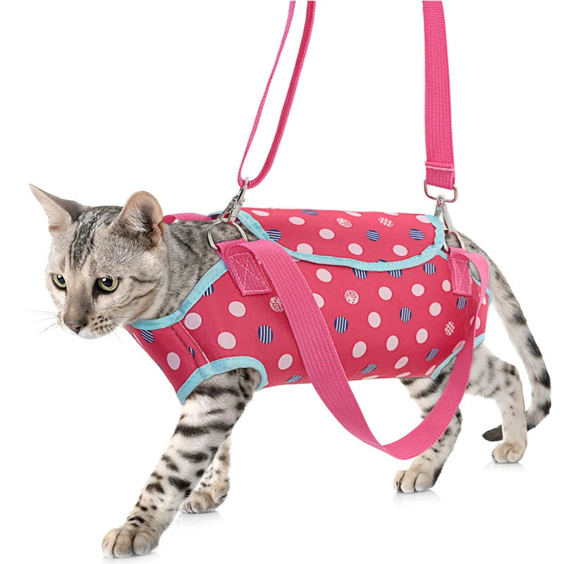 Pet Handbag Carrier