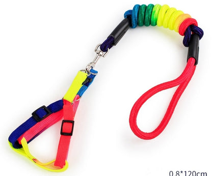 Rainbow Adjustable Harness and Leash