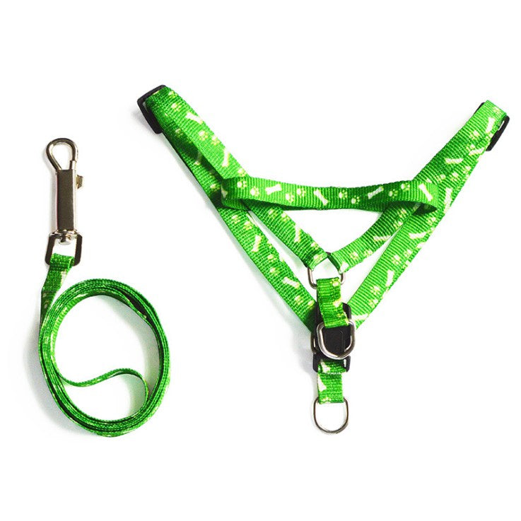 Bone Printed Harness and Lead