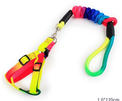 Rainbow Adjustable Harness and Leash