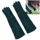 Dog Training Protective Gloves