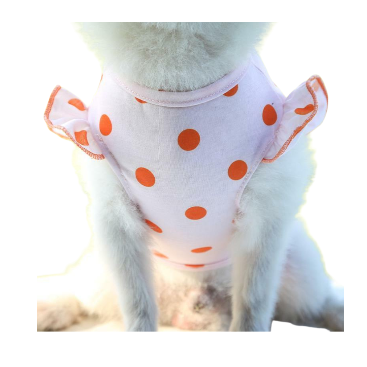 Cute Pocket White Bear Polka Dot Clothes