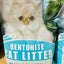 BENTONITE - Cat Litter