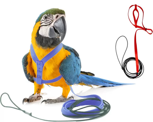 Adjustable Bird Harness Leash Kit