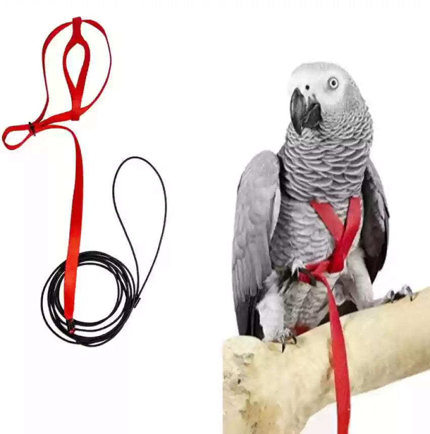 Adjustable Bird Harness Leash Kit