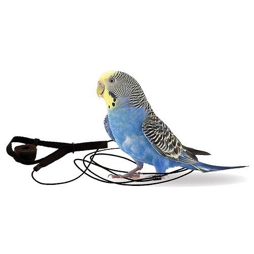 Adjustable Bird Harness Leash Kit