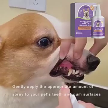 YEGBONG - Pet Oral Cleaning Spray