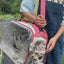 Transparent Handheld Pet Bag