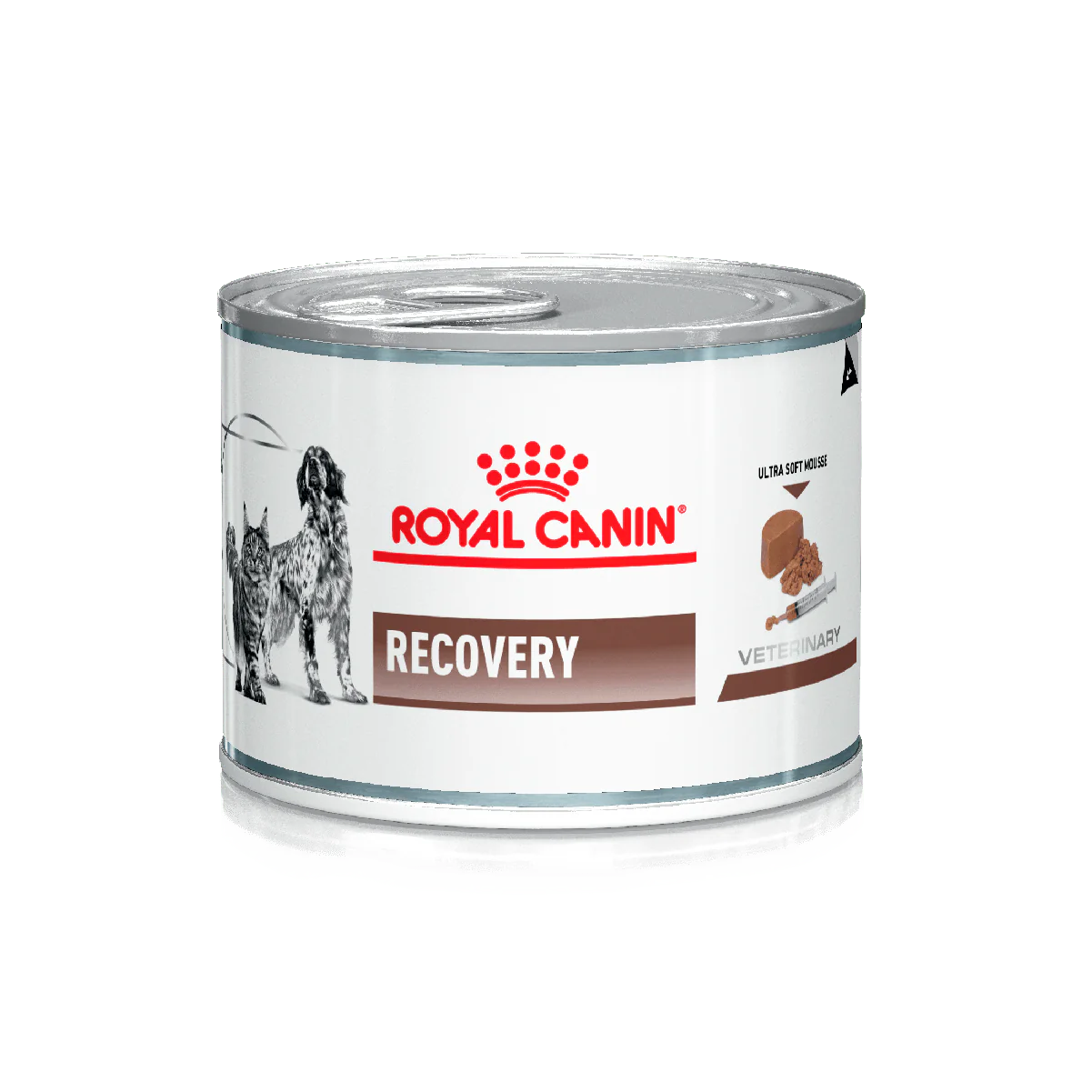 ROYAL CANIN - Recovery