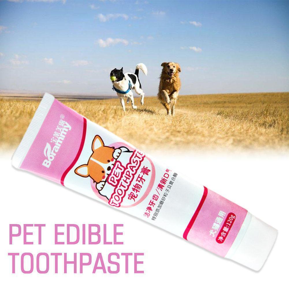 BORAMMY - Edible Pet Tooth Paste