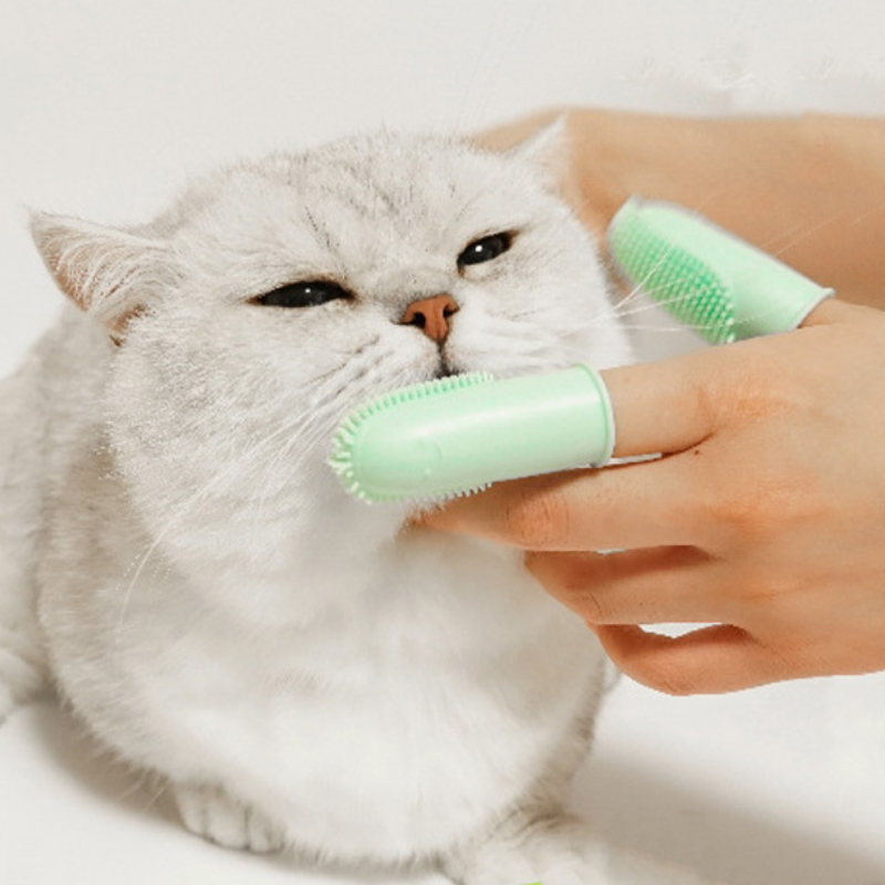 Double Silicon Finger Toothbrush