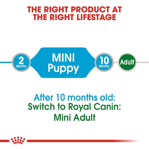 ROYAL CANIN - Mini Puppy in Gravy Wet Food