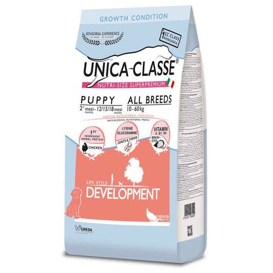 UNICA CLASSE - Puppy Development